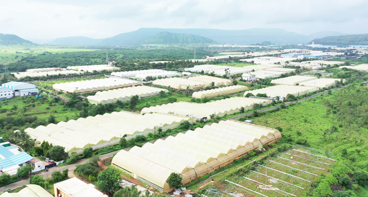 Industrial and Floriculture Park in Talegaon MIDC