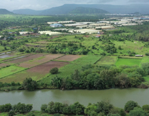 International Floriculture Park